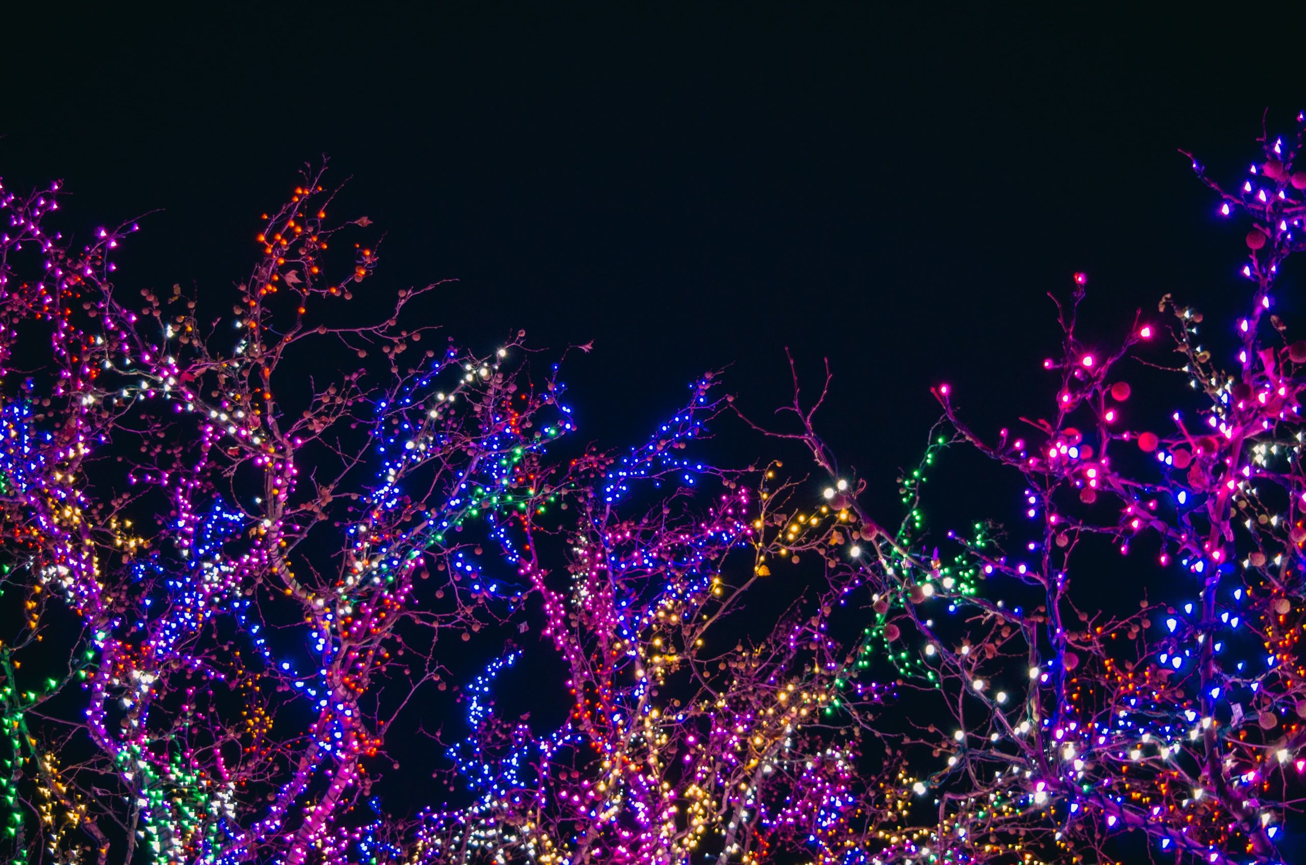 Phoenix ZooLights | Phoenix Zoo Event | Scottsdale Rentals