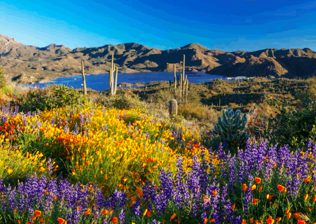 When Is the Best Time to Visit Arizona? (Especially Scottsdale ...