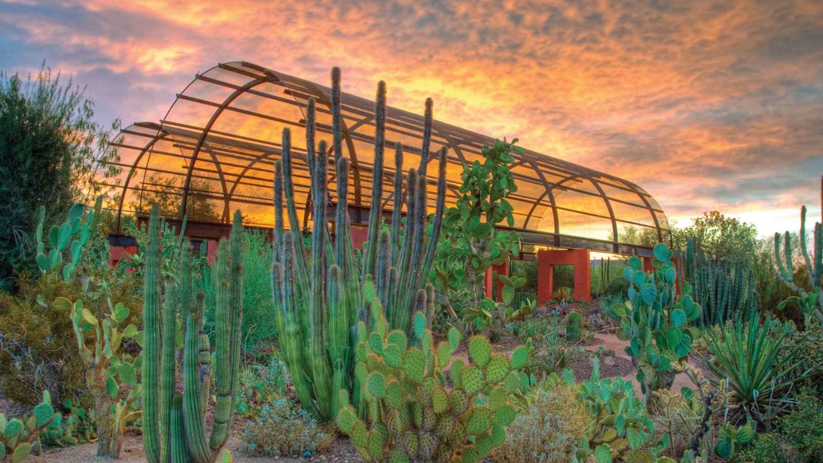 Beyond Golf & Resorts: The Ultimate Guide to Scottsdale’s Best Luxury Experiences